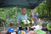 Shepherds Hill Allotments Celebrate 100 Years of Growing