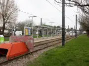TfL urged to 'get a grip' as half-term tram disruption threatens to isolate Croydon community