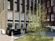Tower Hamlets Council Plans £110k Outdoor Terrace for Town Hall Café