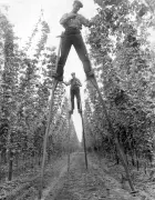 Unseen 1930s Kent Photos Revealed in New Book